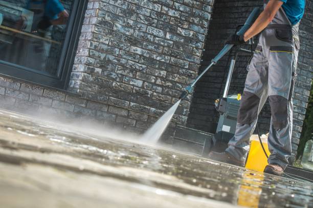 Pre-Holiday Cleaning in Franklin Park, FL
