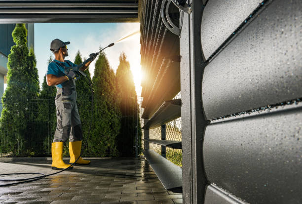 Best Driveway Pressure Washing  in Franklin Park, FL